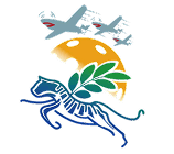 北京飞虎匹克球